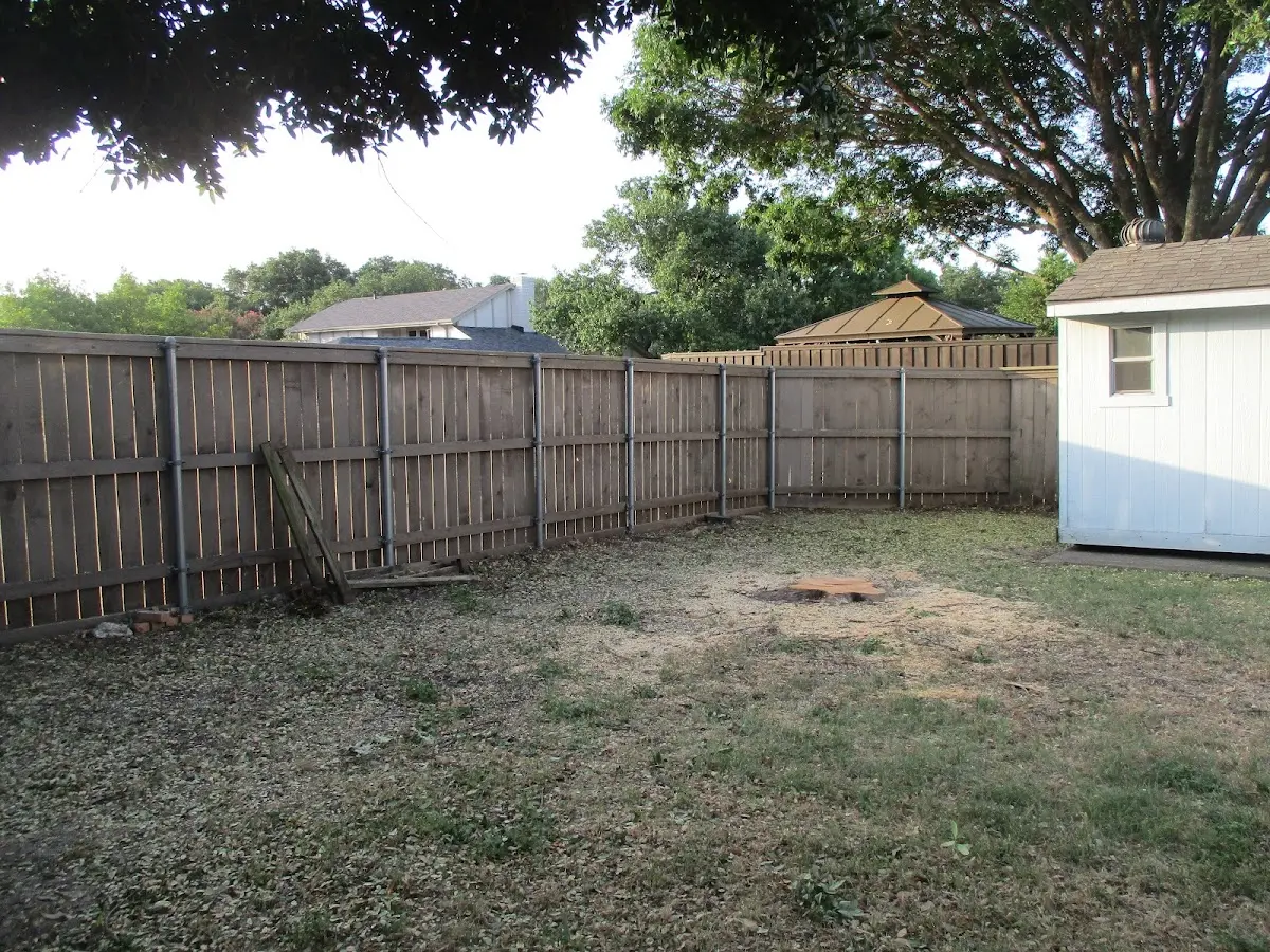 Cleared yard after professional tree removal in Tuscumbia