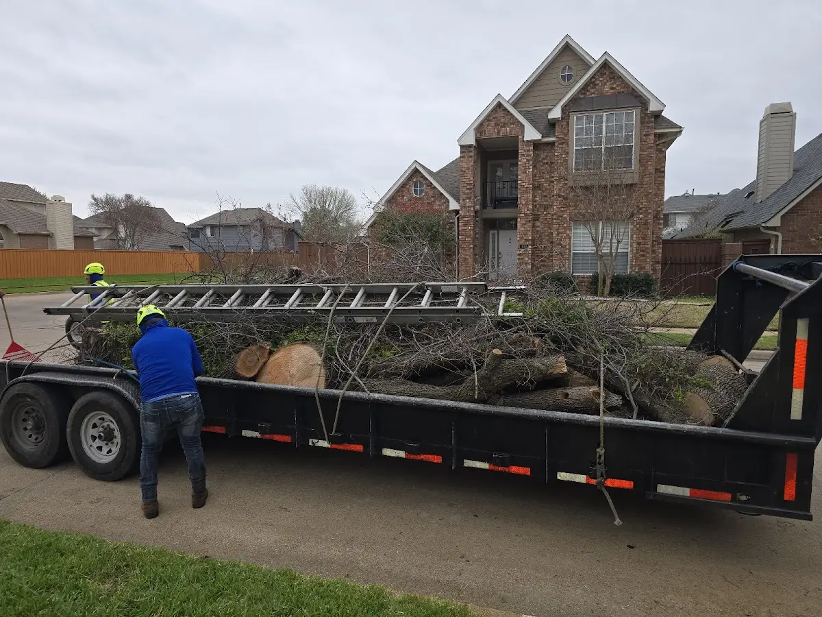 Expert Tree Fertilization with proper safety equipment in Tuscumbia